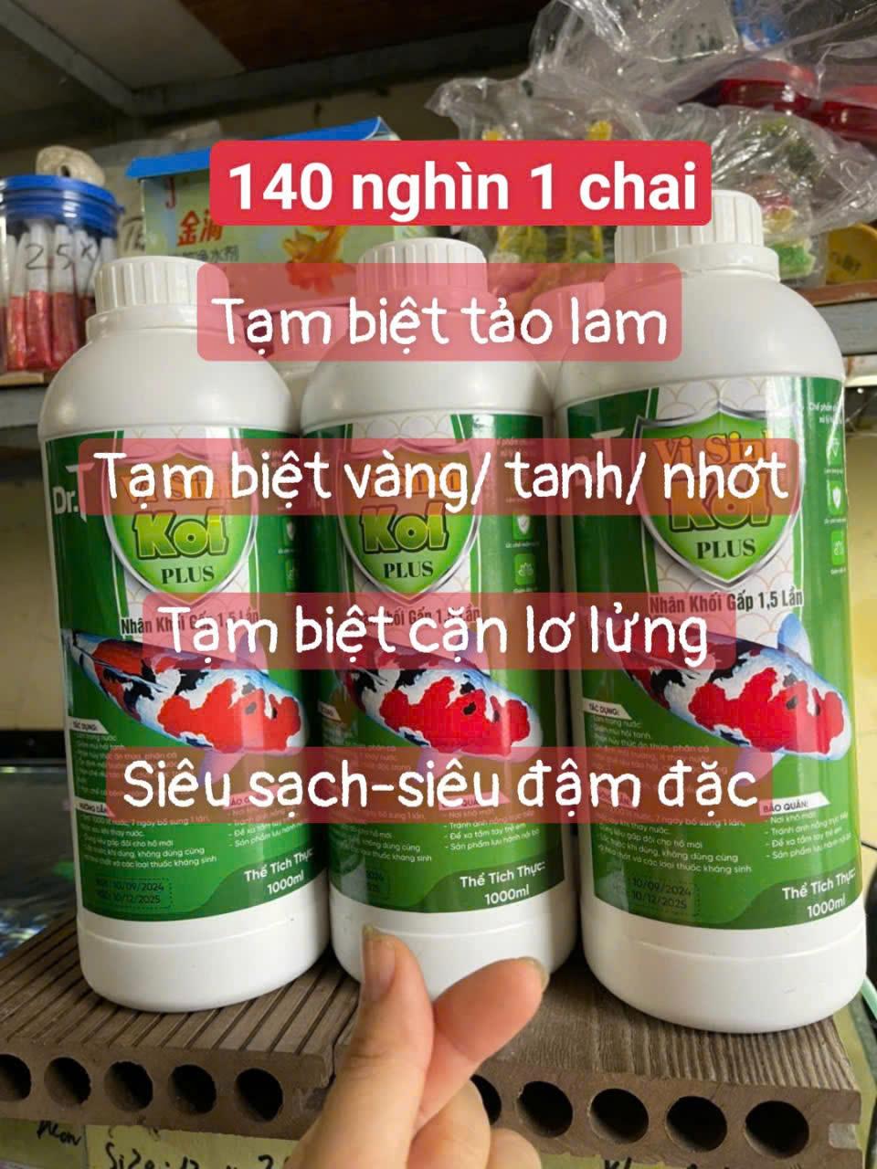 Vi sinh chất lượng cao cho hồ Koi – Giải pháp tối ưu!2042585