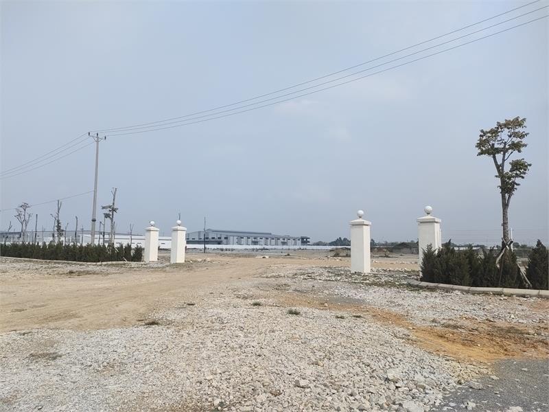 Bán 4ha đất kho nhà xưởng 50 năm tại Huyện Ninh Giang, Tỉnh Hải Dương132619