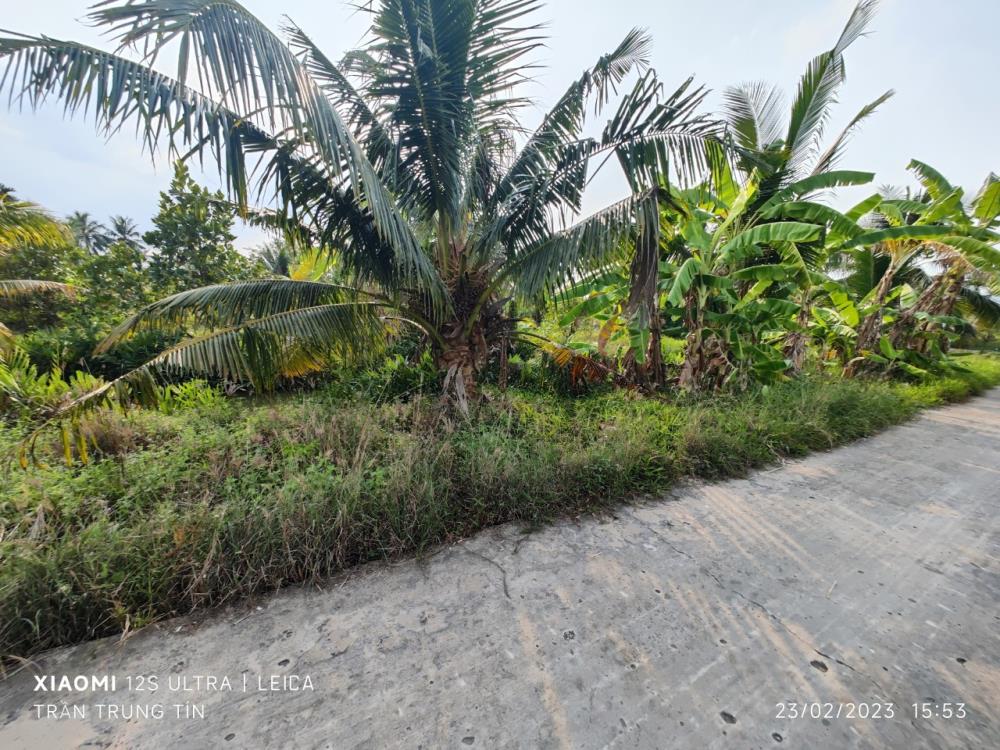 Bán lô đất cây lâu năm Tân Tru đường đan 3m giá 1 tỷ1127416