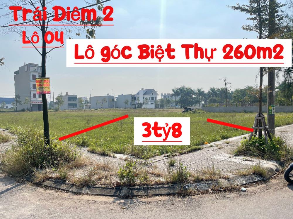 E có mấy lô Chính chủ đứng tên cần bán giá cắt lỗ ở Tây Giang-Tiền Hải-Thái Bình1153150