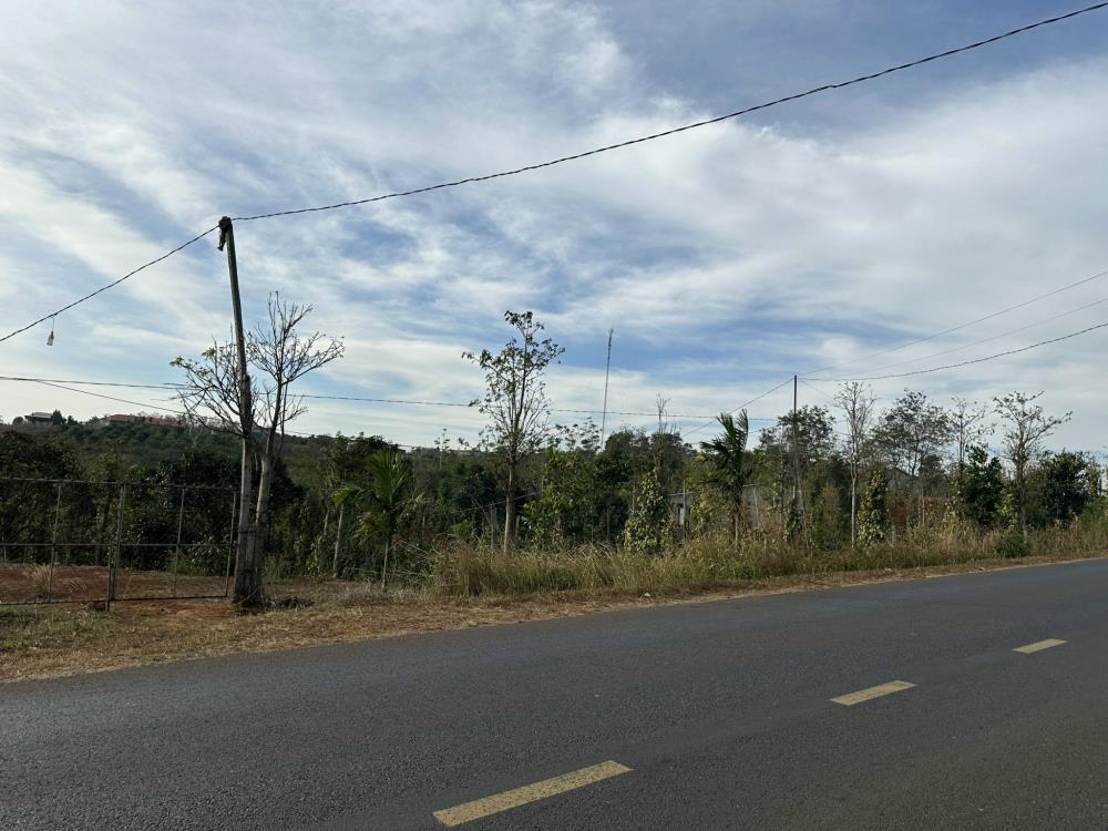 Chính chủ cần bán đất mặt tiền QL 28 cách trung tâm xã Dắk Ha 1km, Huyện Đăk Glong, Đắk Nông1542658