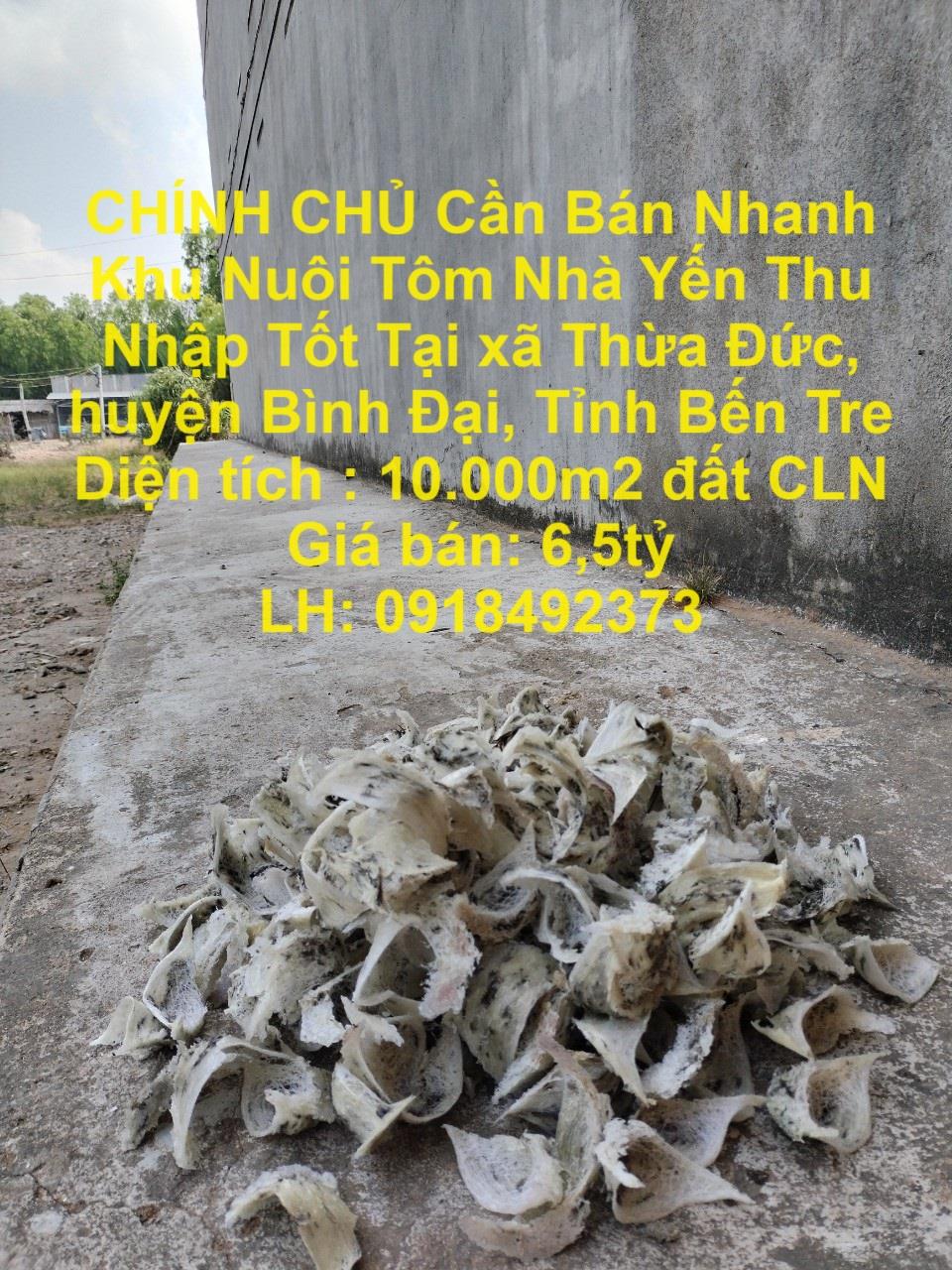 CHÍNH CHỦ Cần Bán Nhanh Khu Nuôi Tôm Nhà Yến Thu Nhập Tốt Tại Thừa Đức Bến Tre1548073