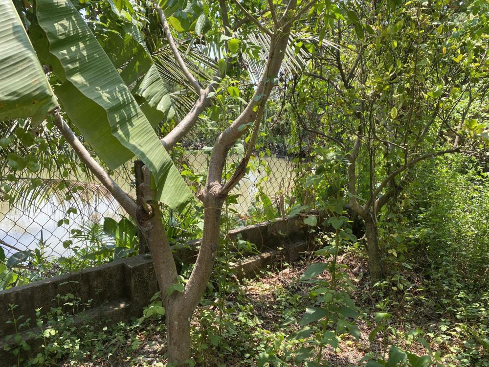 Bán nhà vườn An Hoà giáp KDL SƠN TIÊN, 620m2  view sông mát mẻ giá ngộp ra nhanh trong tháng 41440802