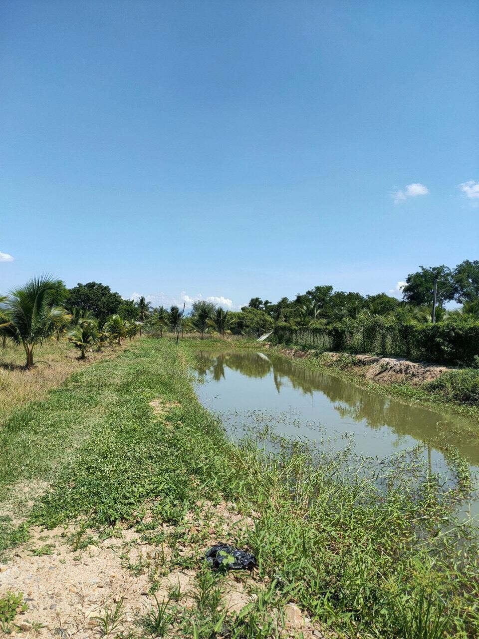 ĐẤT CHÍNH CHỦ - GIÁ TỐT - Vị Trí Đắc Địa Ninh Sơn, Ninh Thuận1958642