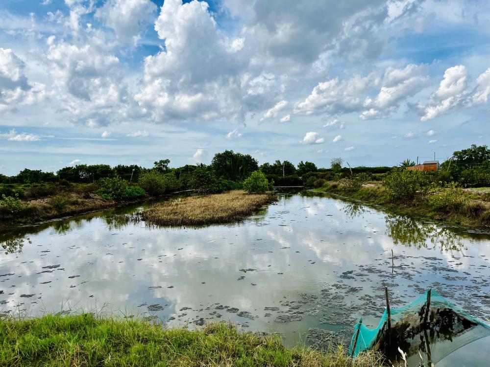 BÁN ĐẤT NUÔI TÔM , THẢ LANG TẠI DUYÊN HẢI, TRÀ VINH1688266