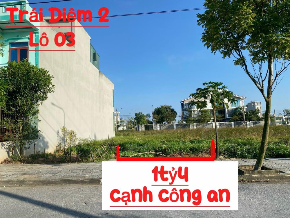 E có mấy lô Chính chủ đứng tên cần bán giá cắt lỗ ở Tây Giang-Tiền Hải-Thái Bình1153152