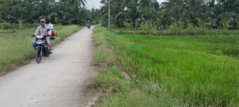 Cần Bán Nhanh Lô Đất Tiềm năng- Giá Tốt tại huyện Tam Bình, tỉnh Vĩnh Long643935