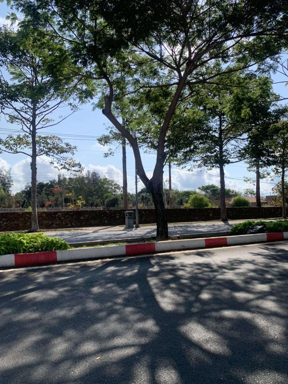Cần bán lô đất đẹp mặt tiền đường Nguyễn An Ninh, TP Vũng Tàu, Giá đầu tư1569713