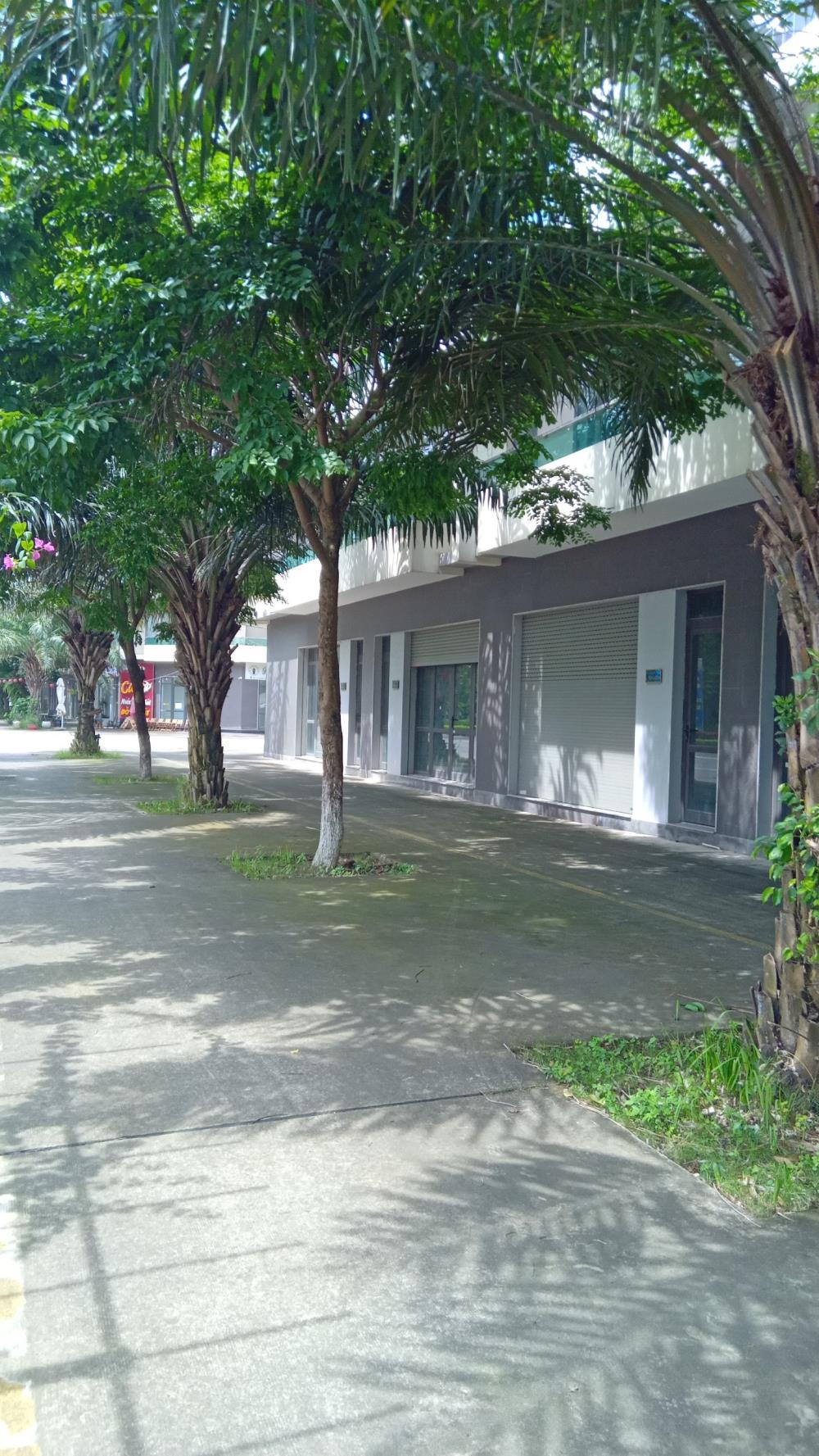 Góc chuyển nhượng shophouse  120m21802144