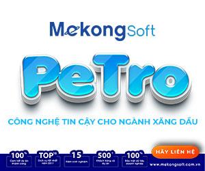 Giải Pháp Xuất Hóa Đơn Xăng Dầu MekongSoft Petro 1201B1098080