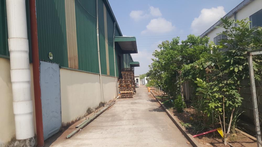 CHO THUÊ/ hoặc BÁN XƯỠNG KCN VSIP 2 BÌNH DƯƠNG.Diện Tích Đất : 6.200 m.Nhà Xưỡng : 3000m1915859