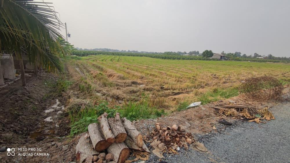 Bán lô đất lúa chuyển thổ hai mặt tiền Xã Đức Tân giá 7 tỷ1173193