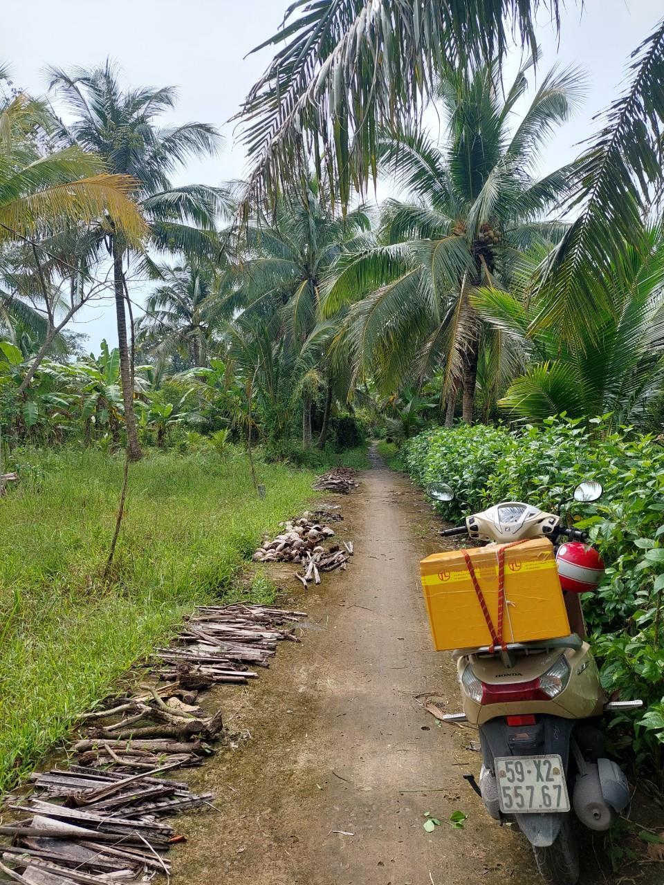 Chính Chủ Cần Bán Đất Vườn Dừa - Giá Tốt Tại  Ấp Dầu-Đông Hòa- Châu Thành- Tiền Giang1900982