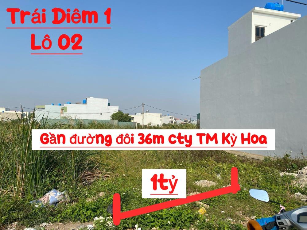 E có mấy lô Chính chủ đứng tên cần bán giá cắt lỗ ở Tây Giang-Tiền Hải-Thái Bình1153154