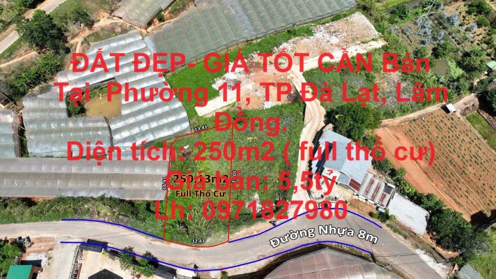 ĐẤT ĐẸP- GIÁ TỐT CẦN Bán Tại  Phường 11 ,TP Đà Lạt ,Lâm Đồng1741192